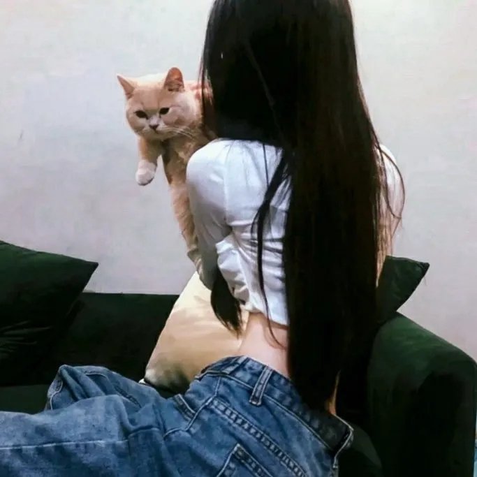 功夫小镇